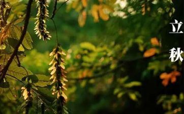 2021年立秋艳遇指数高的星座