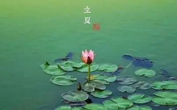 2024年必有喜事的星座 2024年开端走十年好运的星座