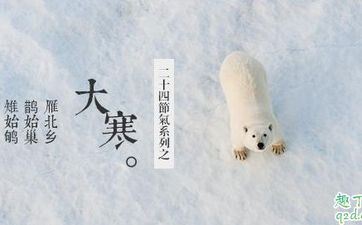 表面看似天真 其实心里超老练的星座