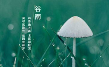 2024爱情复合的星座有哪些