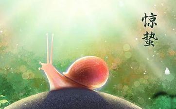 2024年学业大迸发 效果斐然的星座