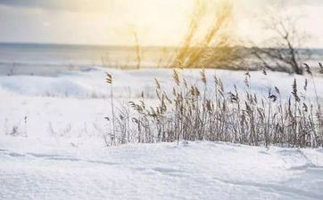 最简略被哄到手的血型女