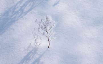 十一月财气最好的星座排名