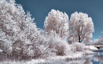 塔罗测验2023年你会有闪婚的或许吗?