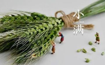 不喜夸耀不出风头的三大星座 不喜夸耀不出风头的三大星座