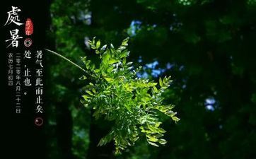 12星座男女朋友撒娇心里活动