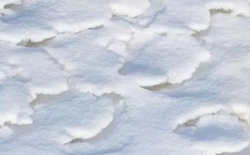 终身被宠爱和溺爱的星座女