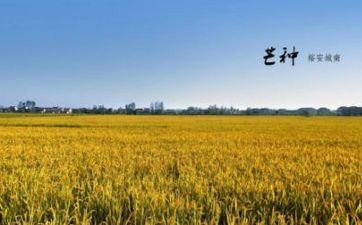 从芒种开端这四大星座将迎来好运