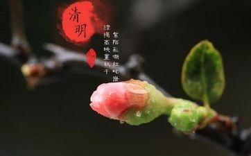 国庆节一定要出门人挤人的星座是你吗 国庆节一定要出门人挤人的星座是你吗