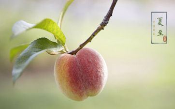 同一坑跌好几次的星座明星