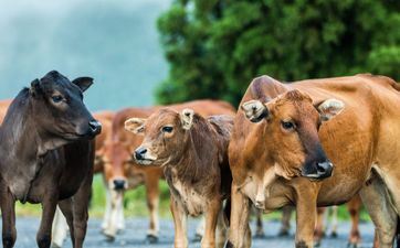 财气起飞！未来3周偏财横财大发的3星座！提高加薪有望