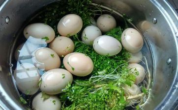 别招惹的血型星男