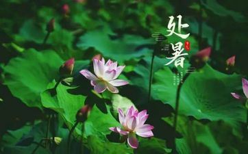 【职场】12星座被潜指数 【职场】12星座被潜指数