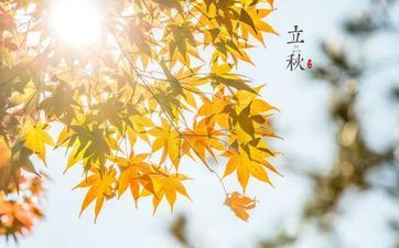 2021年立秋桃花运上涨的星座