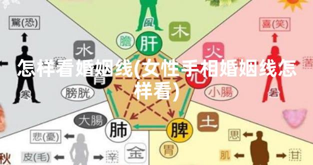 怎么看婚姻线(女性手相婚姻线怎么看)