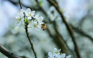 总是一边舍不得旧爱一边挑逗新欢的星座