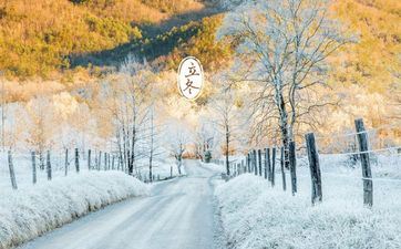 考试梦见上一任