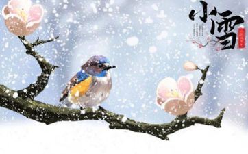 出门前总要把香水喷遍全身的星座女