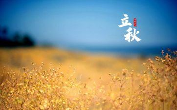 2024年工作最顺的星座 尽力进步高度赞扬