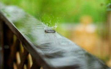 水象星座有哪几个 水象星座介绍