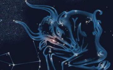 特性刚强 不依赖别人单独成果大业的星座