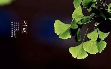 看电影都要想着法子买特价票的星座