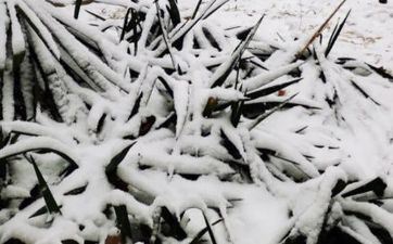 对&ldquo;钱&rdquo;十分灵敏，捞金才能最强的星座男