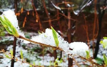 这些星座放假最喜爱待在咖啡馆