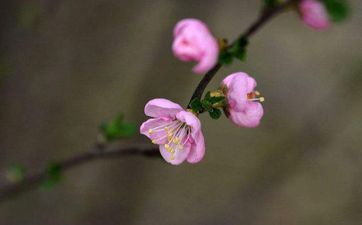 过了三十而立之年后，会有大蜕变，开端加快成功的4大星座
