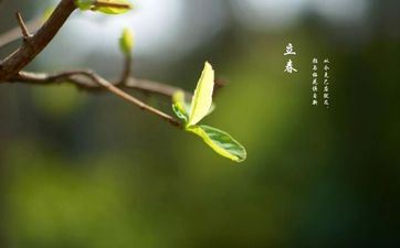 12星座中天生长相最一般的星座前三名，命却最好