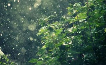 8月8日起财气上升的星座 贵人多助钱利利市