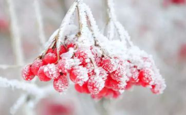 2024年命运最旺的三大星座 2024年交大运发大财的星座女