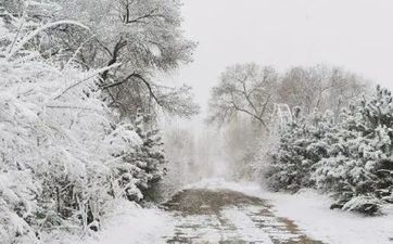 2024年哪些星座水逆最严峻