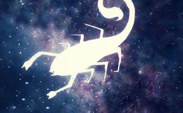 天蝎女配巨蟹男适宜吗 1~12星座月份表 天蝎女配巨蟹男适宜吗 1~12星座月份表