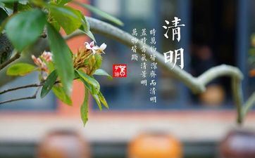 梦见膀子被拒断了