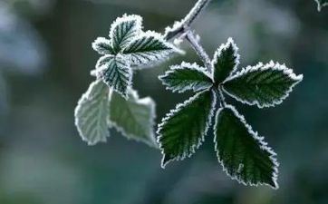 天然生成公主命 终身受尽宠爱的星座女