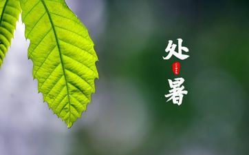 聪明且有魅力，是这五大星座女与生俱来的天分！