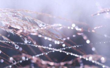 最穷的三大星座 生理需求最激烈的星座女