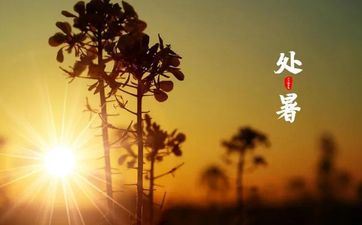 什么星座女生最可怕