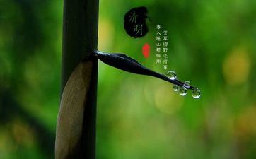 清华大学什么星座最多 清华大学什么星座最多