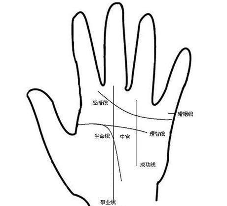 手纹看相