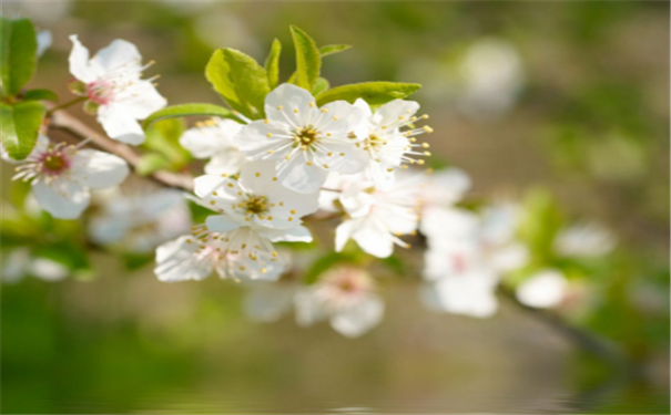 手相图解大全女生