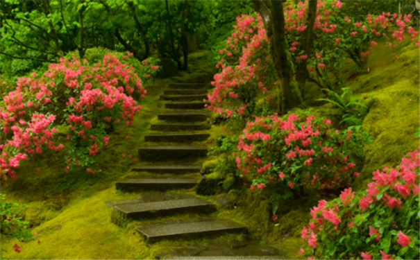 两次婚姻的属相