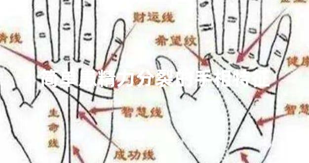 简单患精神分裂的手相特征