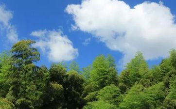 今天吉时查询 2024年阴历十月廿二是理发好日子吗