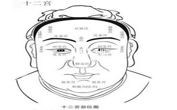 相术大全富有女性 