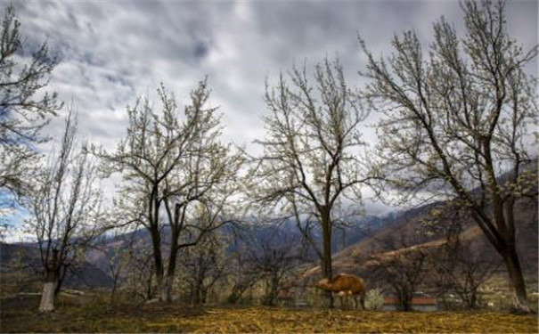 生辰八字测婚姻