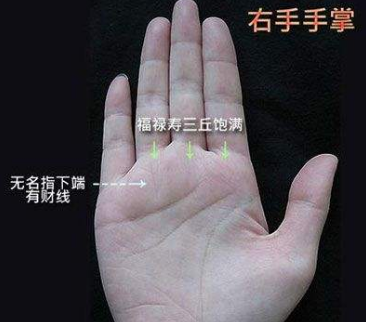 9种手纹的女人命好