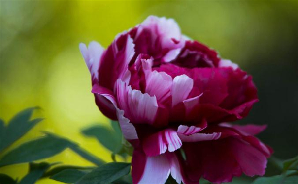 女性最好的面相 有这个面相才是好面相