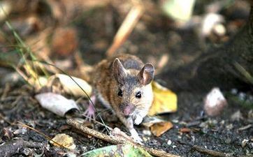 2024年阴历冬月初三是理发吉祥吗